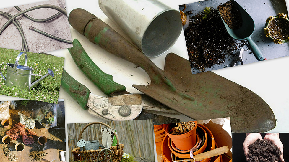 Sachspenden Innenhof begrünung