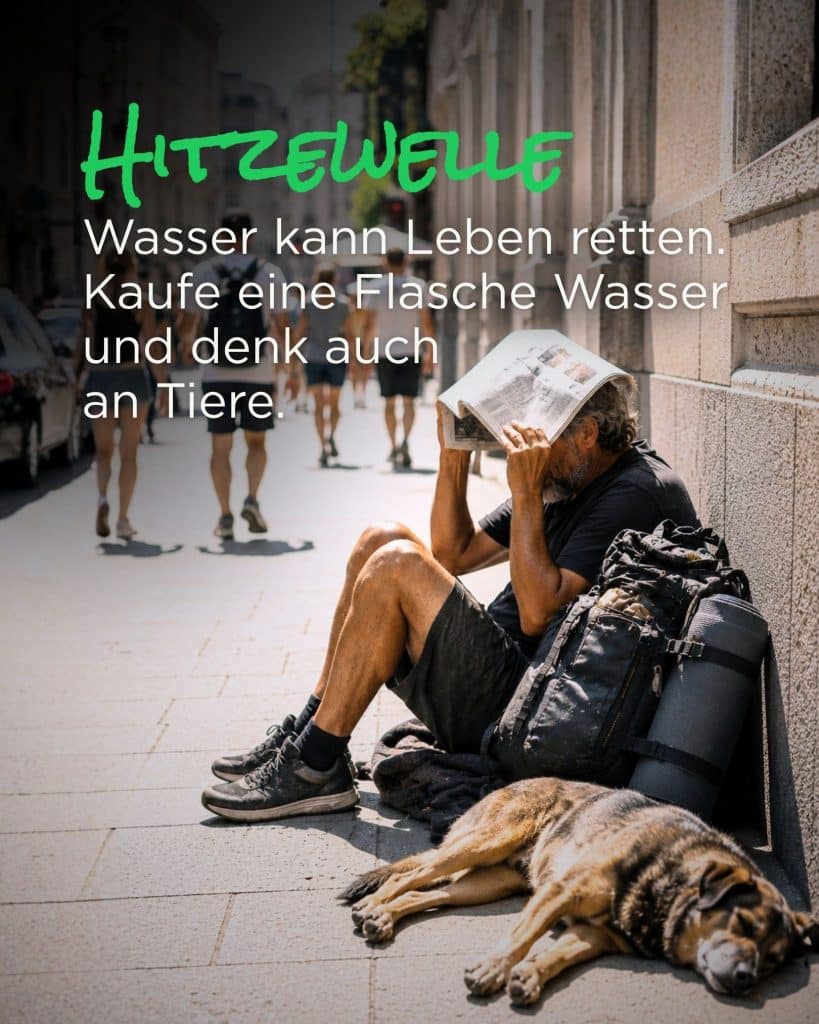 Wasser kann Leben retten. Kaufe eine Flasche Wasser und denk auch an Tiere.
